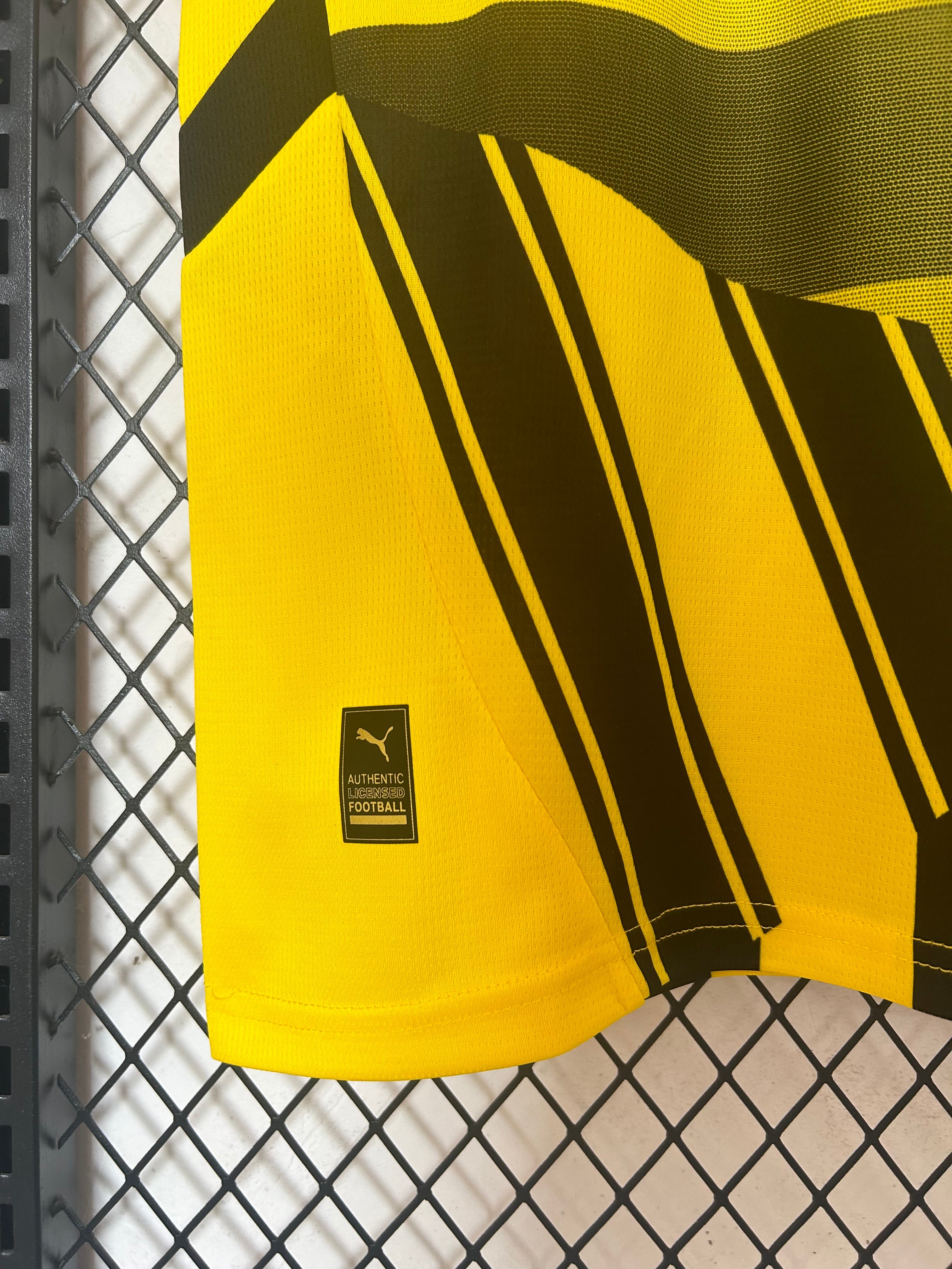 Maillot Dortmund Ldc 24/25