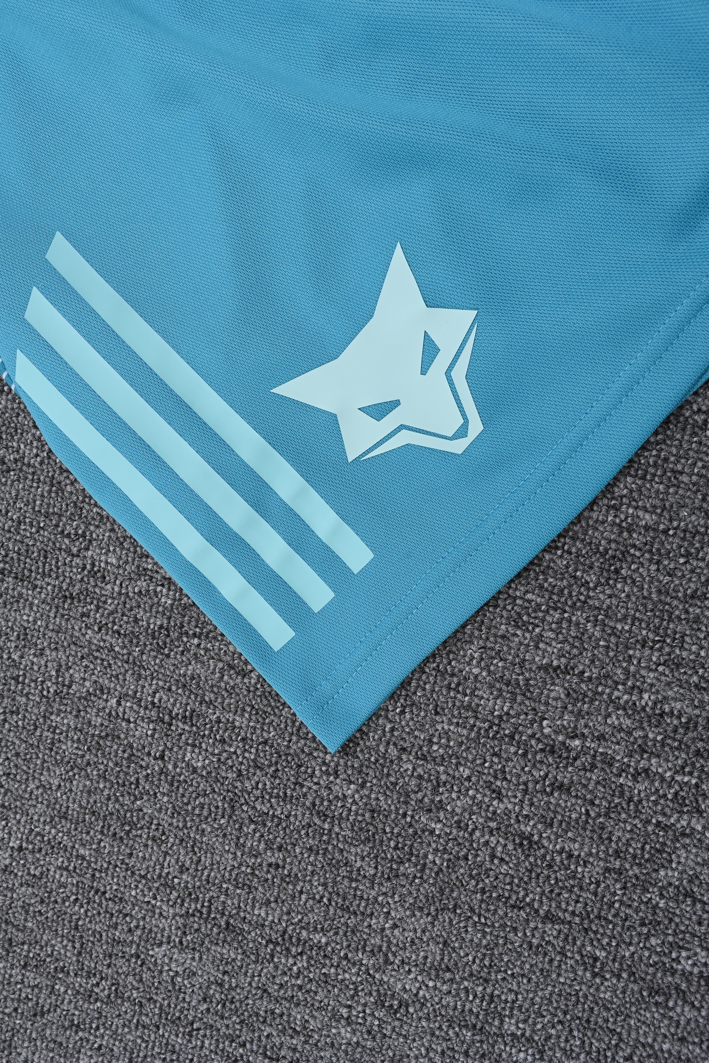 Ensemble Cruzeiro "Bleu" Training