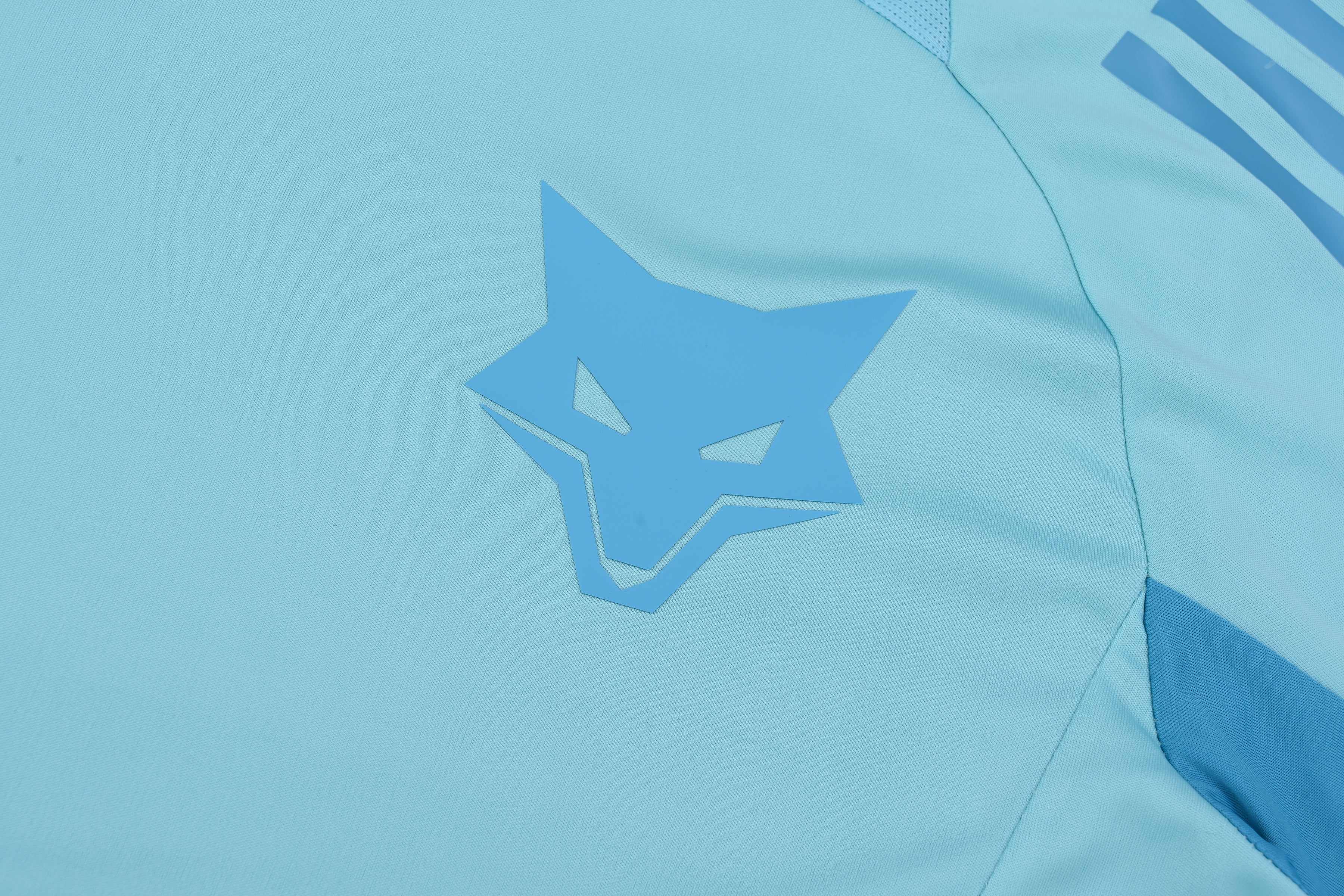 Ensemble Cruzeiro "Bleu" Training