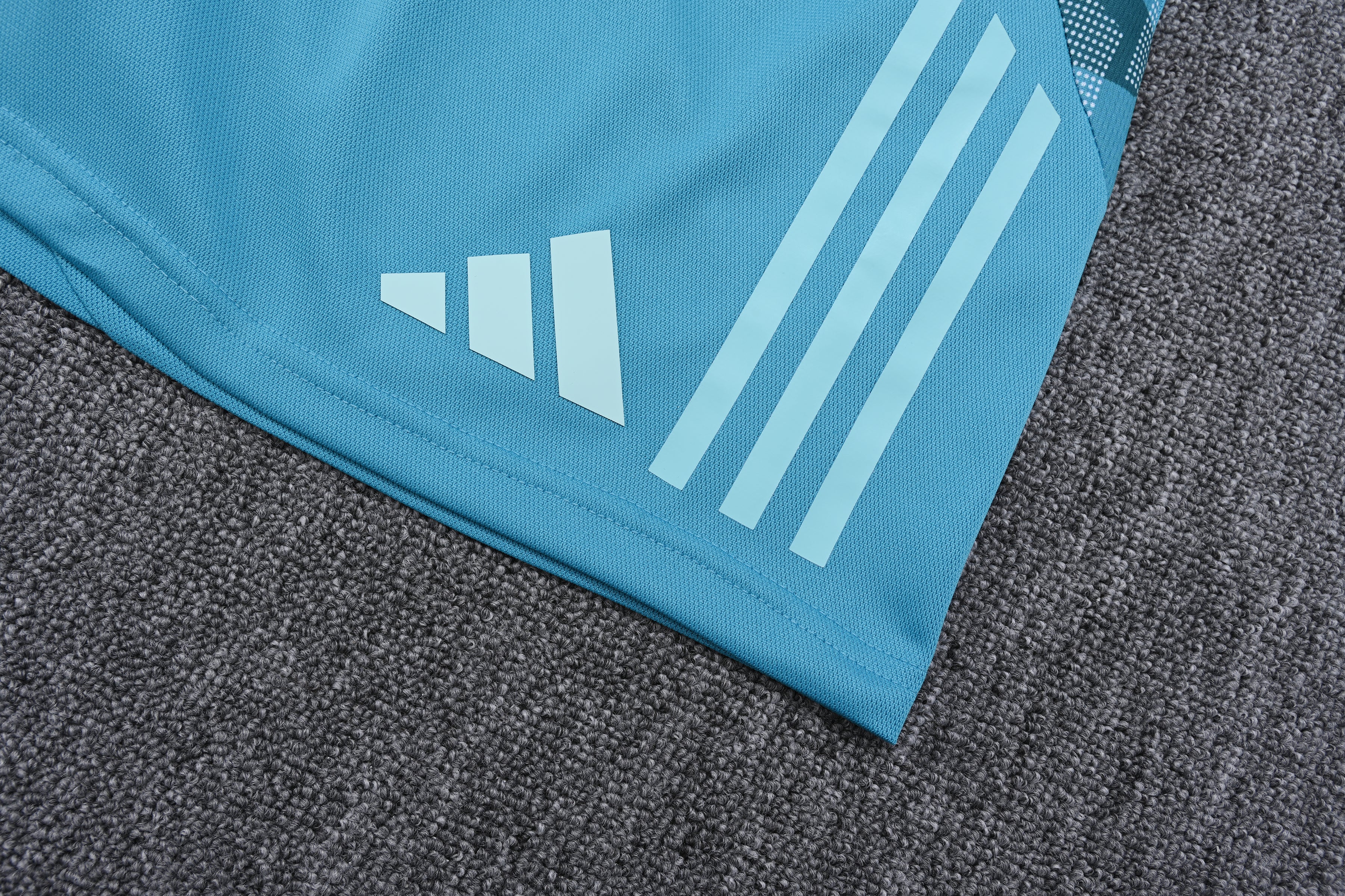 Ensemble Cruzeiro "Bleu" Training