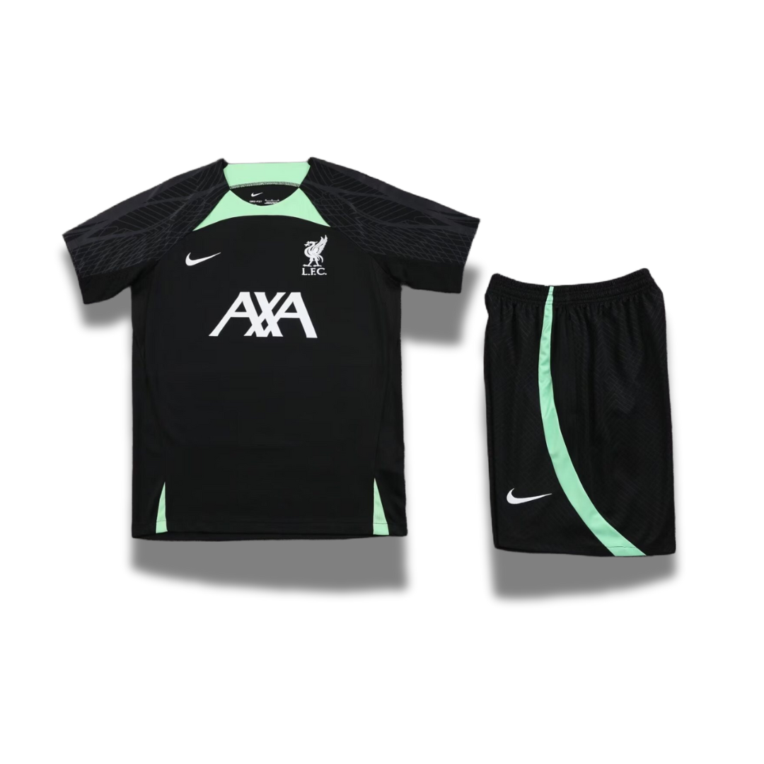 Ensemble Liverpool Training